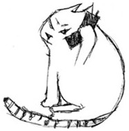 A cat near books